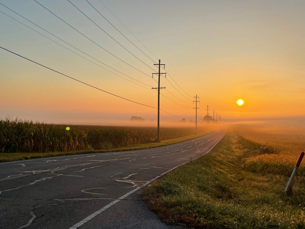 powerline