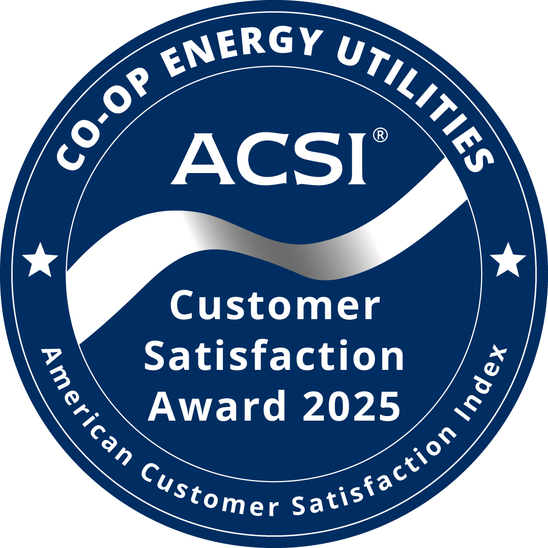 ACSI Customer Satisfaction Award 2025
