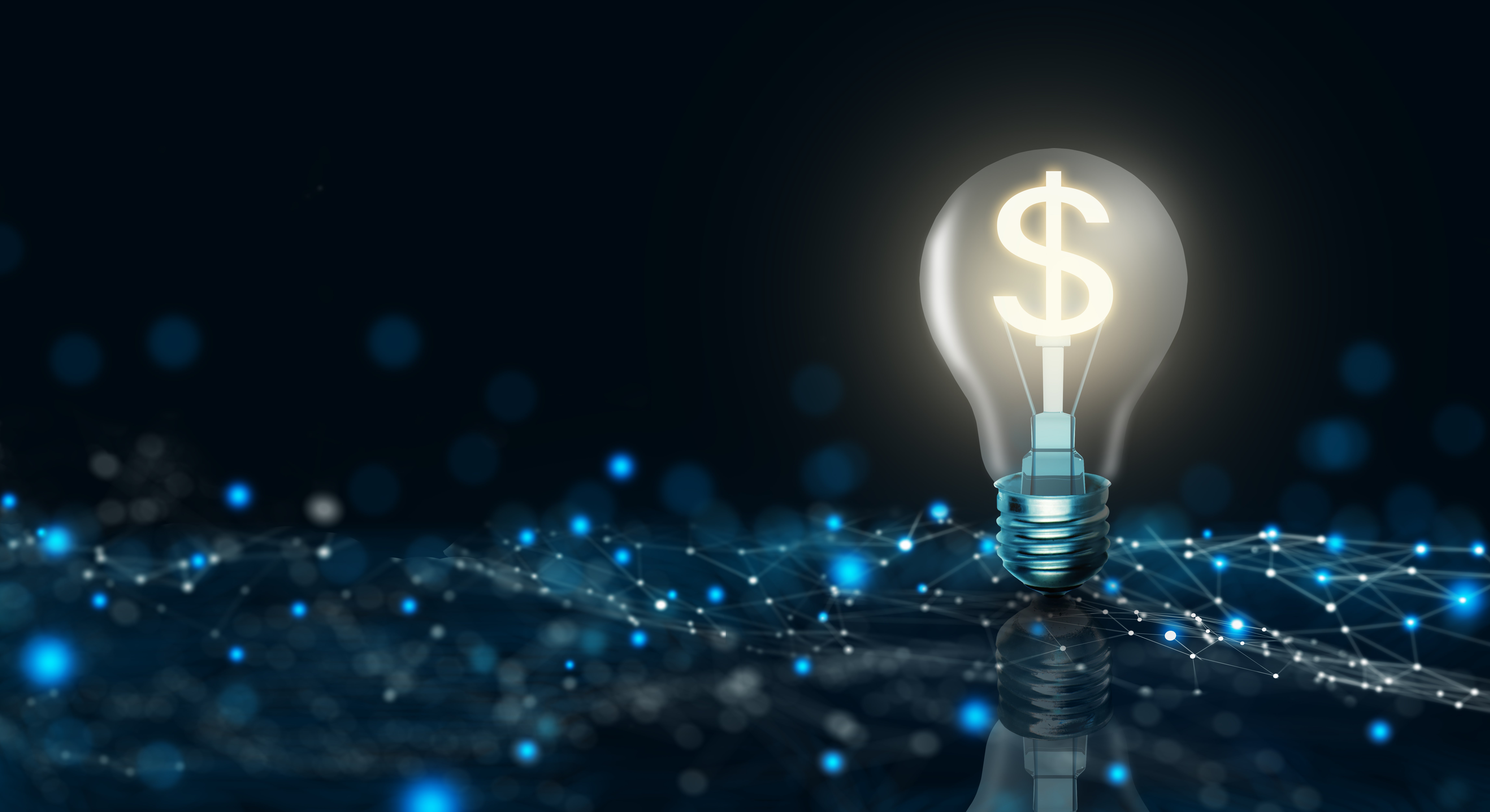 lightbulb dollar sign